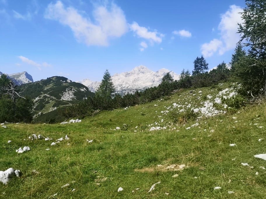 Družinski izlet na Mrežce Planinsko društvo Domžale